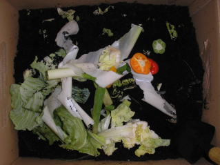 写真：野菜を投入した様子