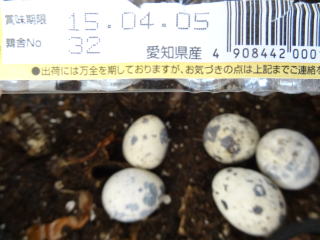 写真：期限の切れたうずらの卵