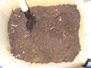 写真：基材(土壌)の様子