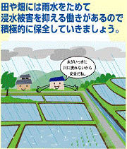 イラスト：田畑に雨水をためよう