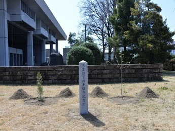 お手播き苗植樹状況