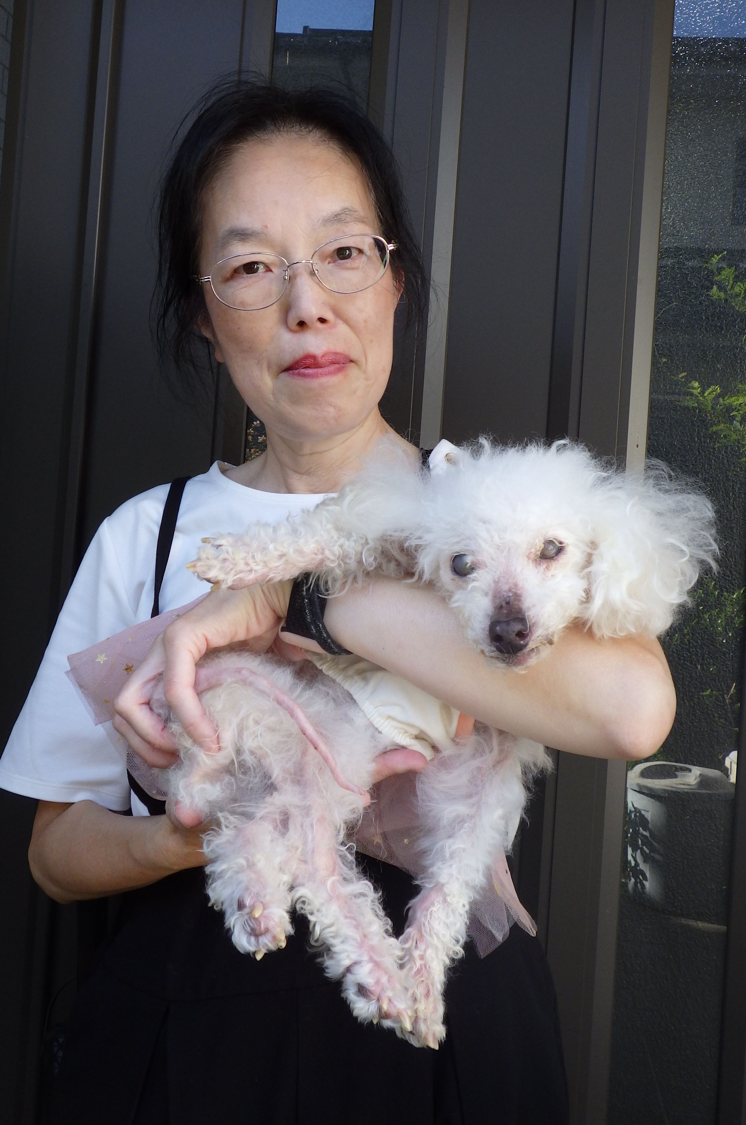 長寿犬メイちゃん