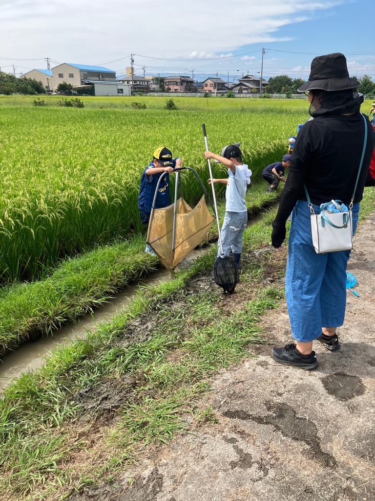 実験田1