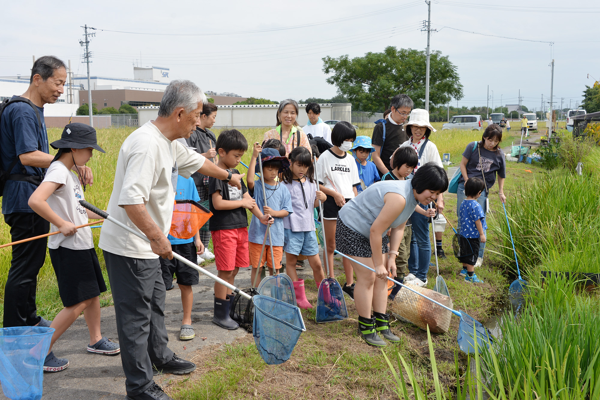 写真:令和6年9月27日(土曜)実験田(1)