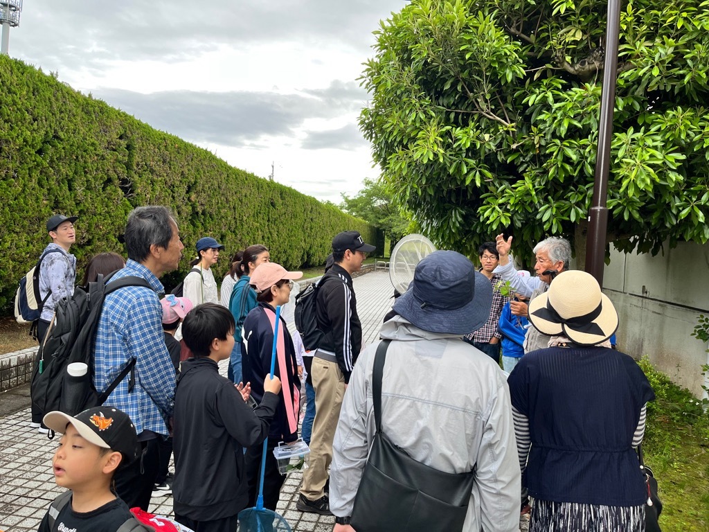 令和7年5月25日の写真2