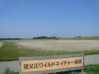写真:市営 祖父江ワイルドネイチャー緑地