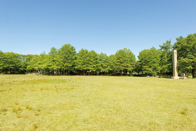 写真：稲沢公園