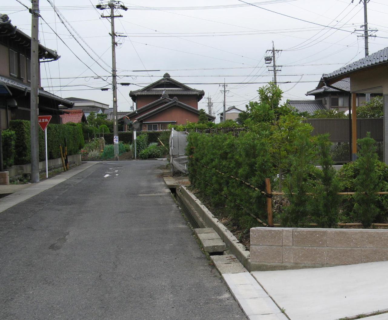 生け垣事例2