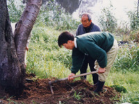 調査する様子