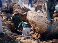 根鉢を確認される佐野氏の写真