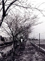 昭和45年ごろの三宅川の写真