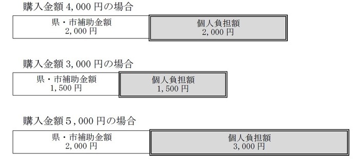 ヘルメット補助金の補助金額の具体的な例