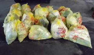 写真:可燃ごみ20袋のごみ