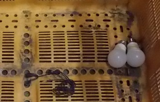 写真:不燃ごみや小型家電
