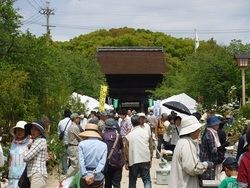 いなざわ植木まつりの会場の様子