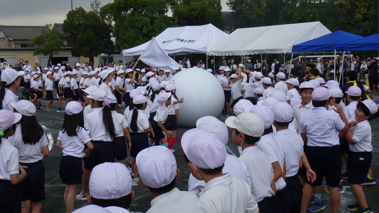 全校で大玉転がし