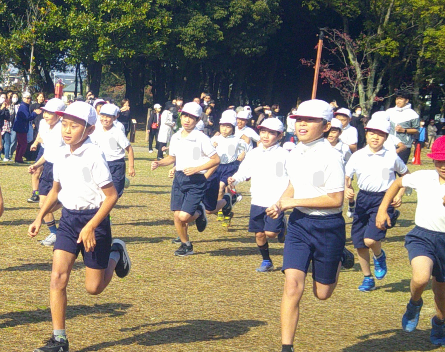 公園で走るのは気持ちがいいな！
