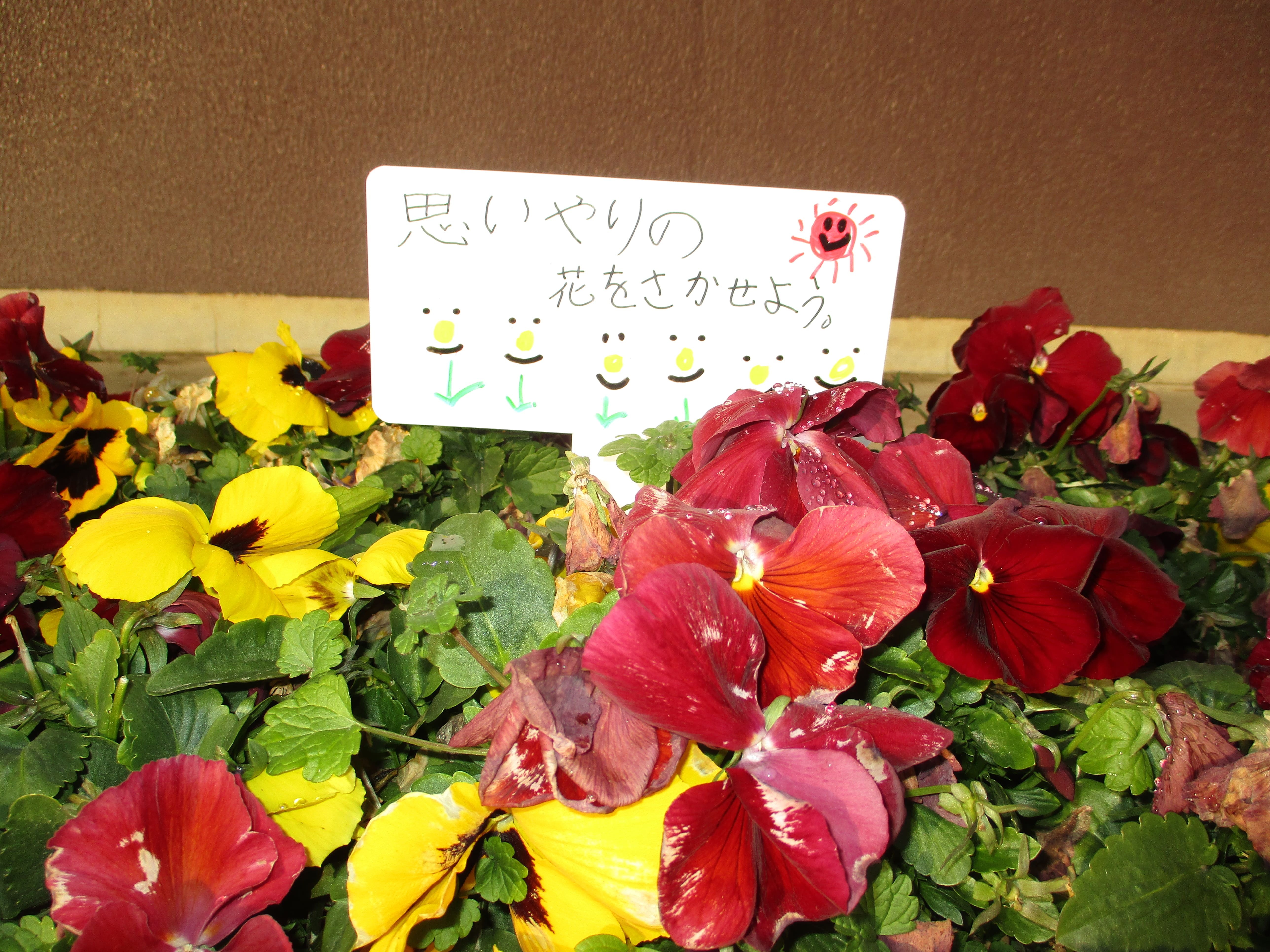 kadannnisettisitahyougoka-do