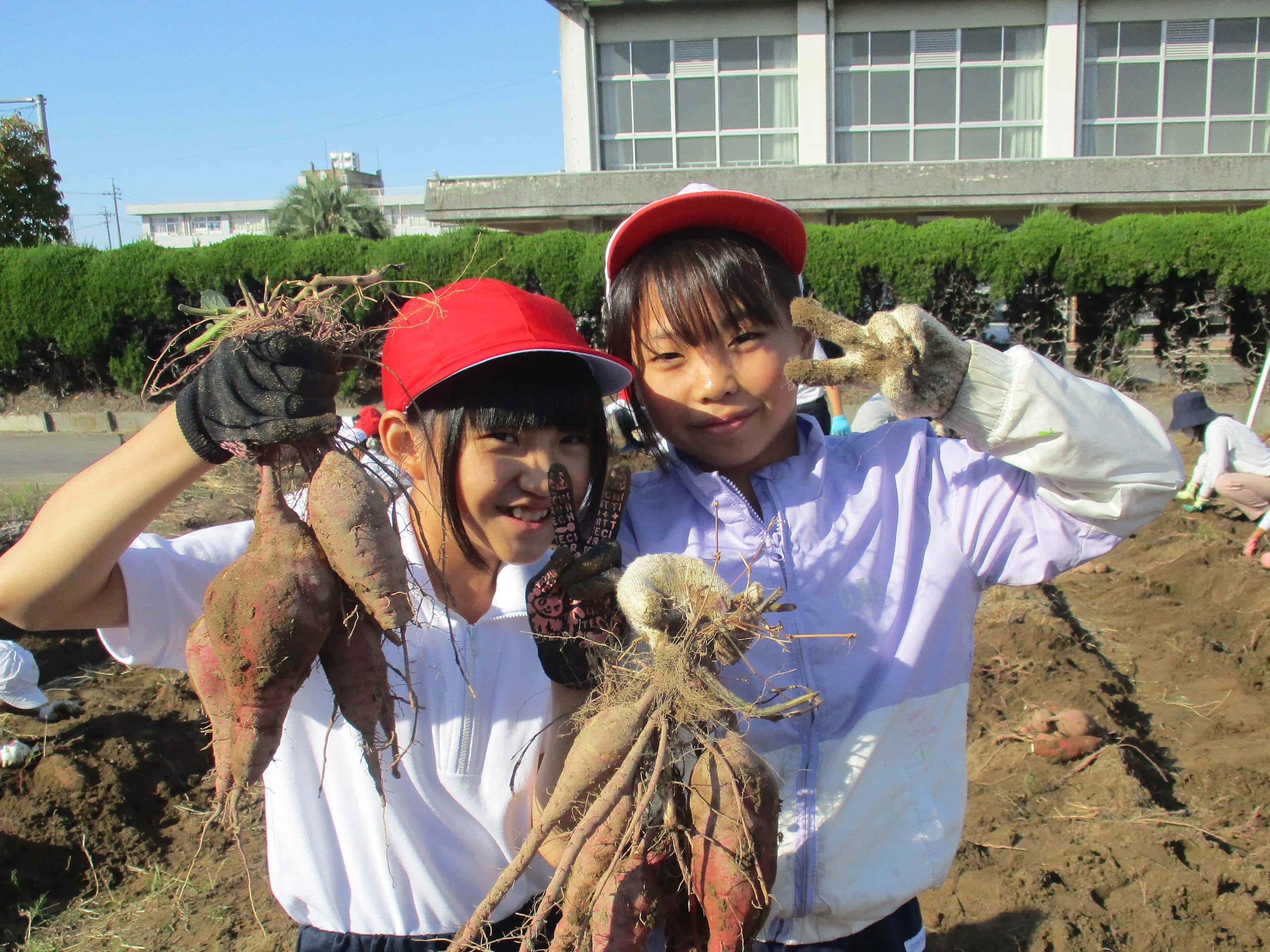 10たくさんとれました!