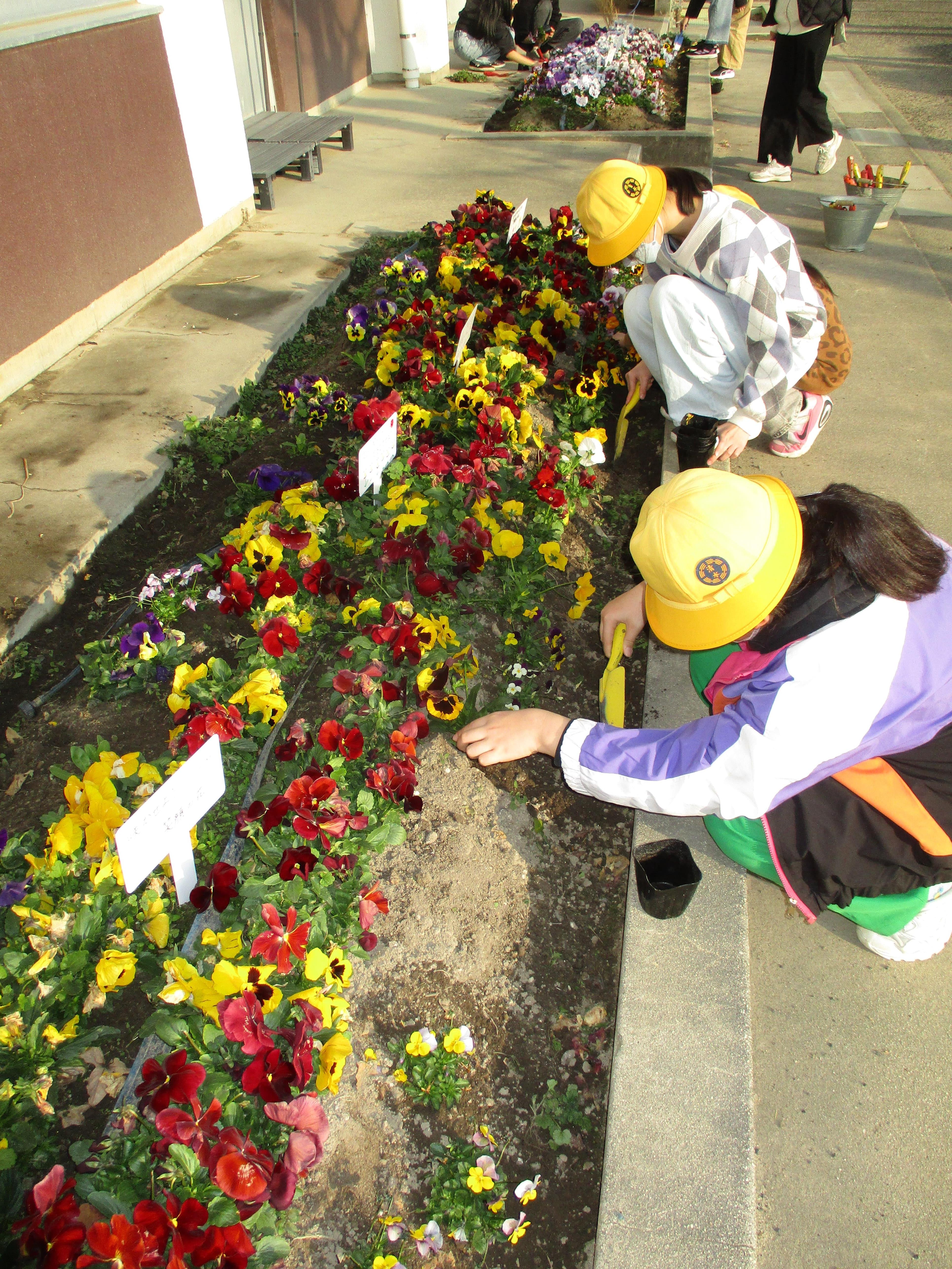 kannkyouseibikatudou