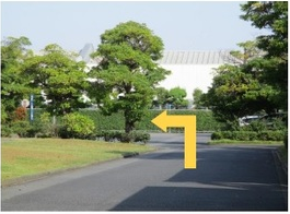 写真:美術館東側道路