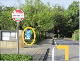 写真:美術館北側道路